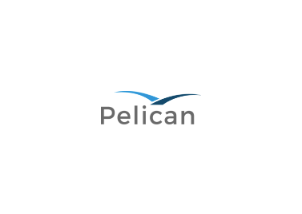 Coral helps ACE (Pelican) achieve ISO 27001 across 4 countries