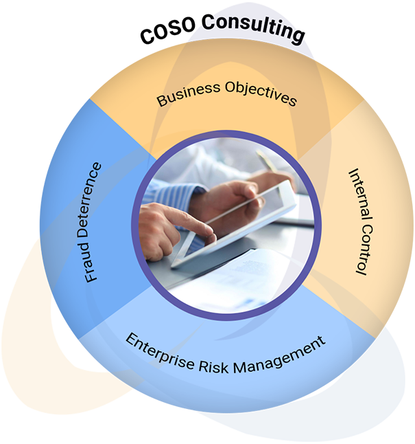 COSO Framework Risk Management