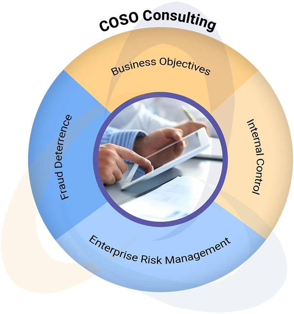 COSO Framework Risk Management
